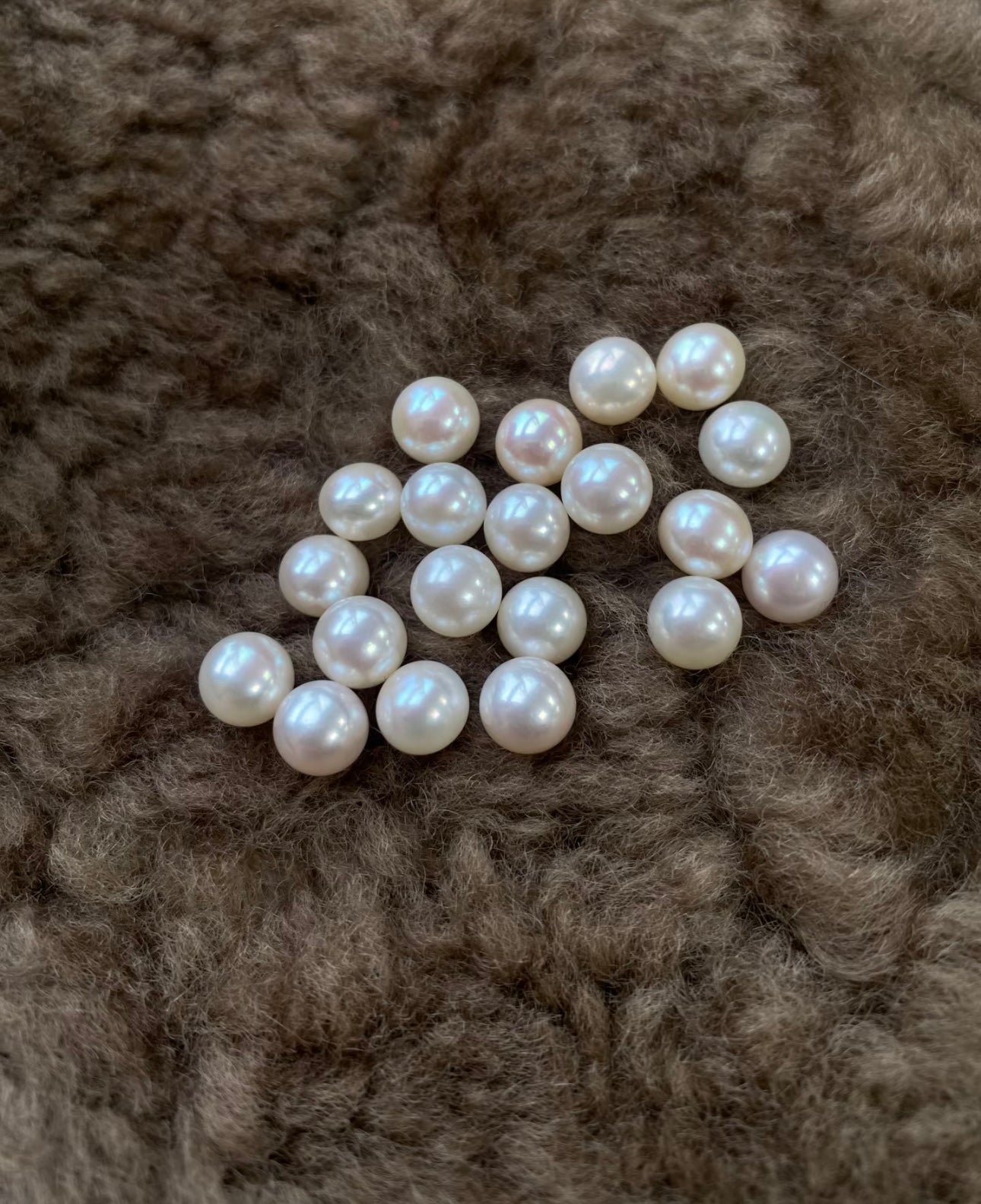 【Live Opening】Aurora Caviar,most Popular！
