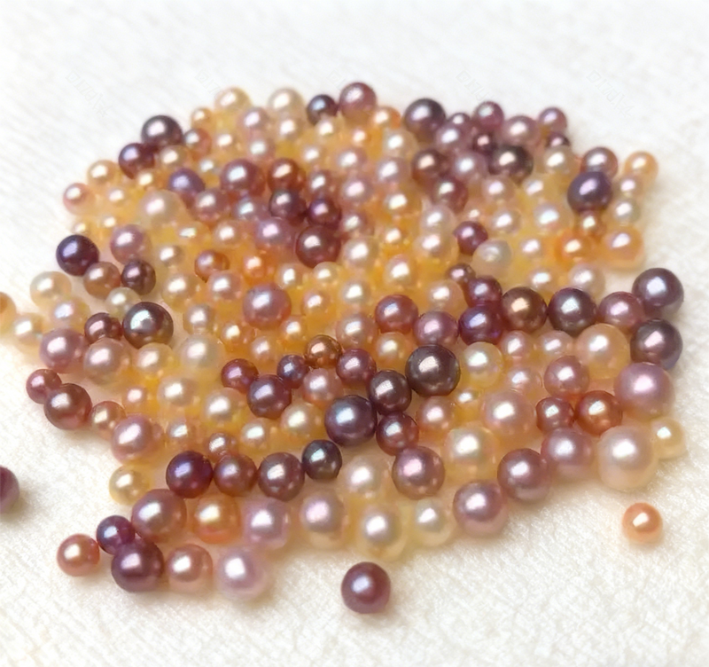 【Live Opening】Leukocyte Pearls