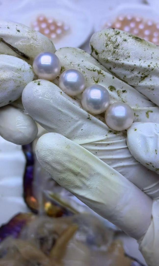 【Live Opening】Baby Edison Pearls,Edison pearls are known for their bold presence and radiant surface quality.