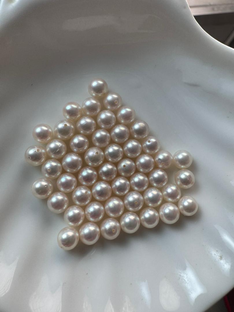 （Not Oyster）Akoya Sea Water pearls （6-6.5mm）